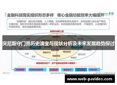 突尼斯守门员历史演变与现状分析及未来发展趋势探讨