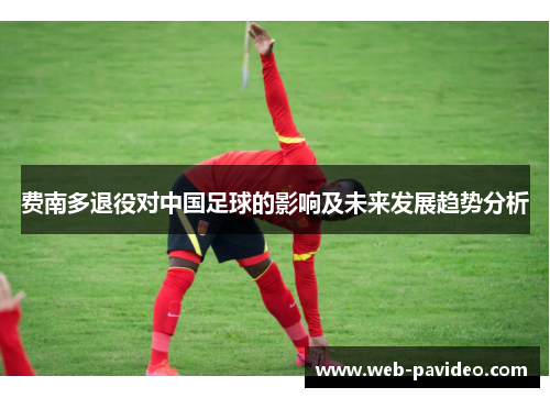 费南多退役对中国足球的影响及未来发展趋势分析 费南多退役对中国足球的影响及未来发展趋势分析